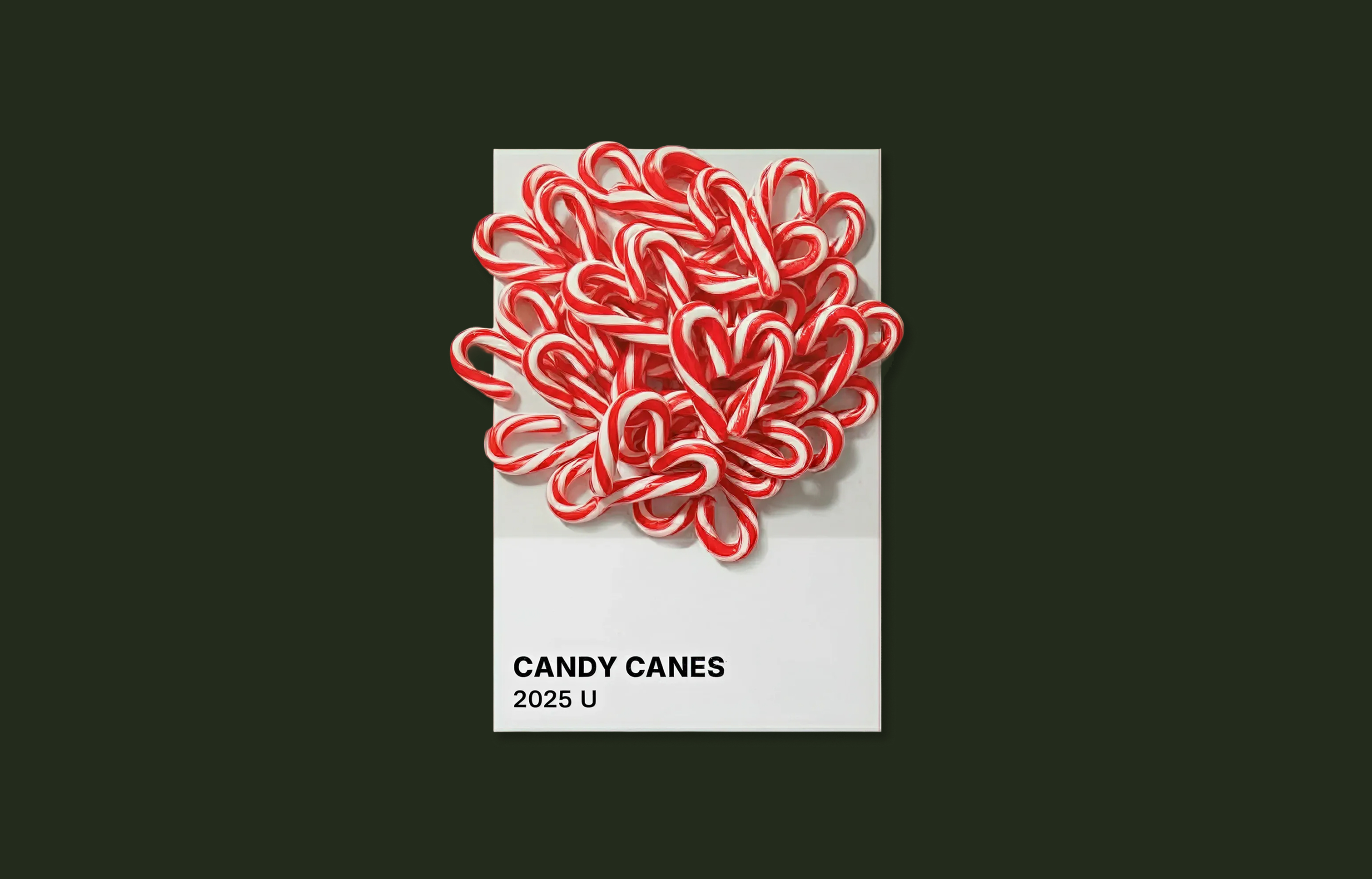 Our highlights, favourite moments and work that defined the year.