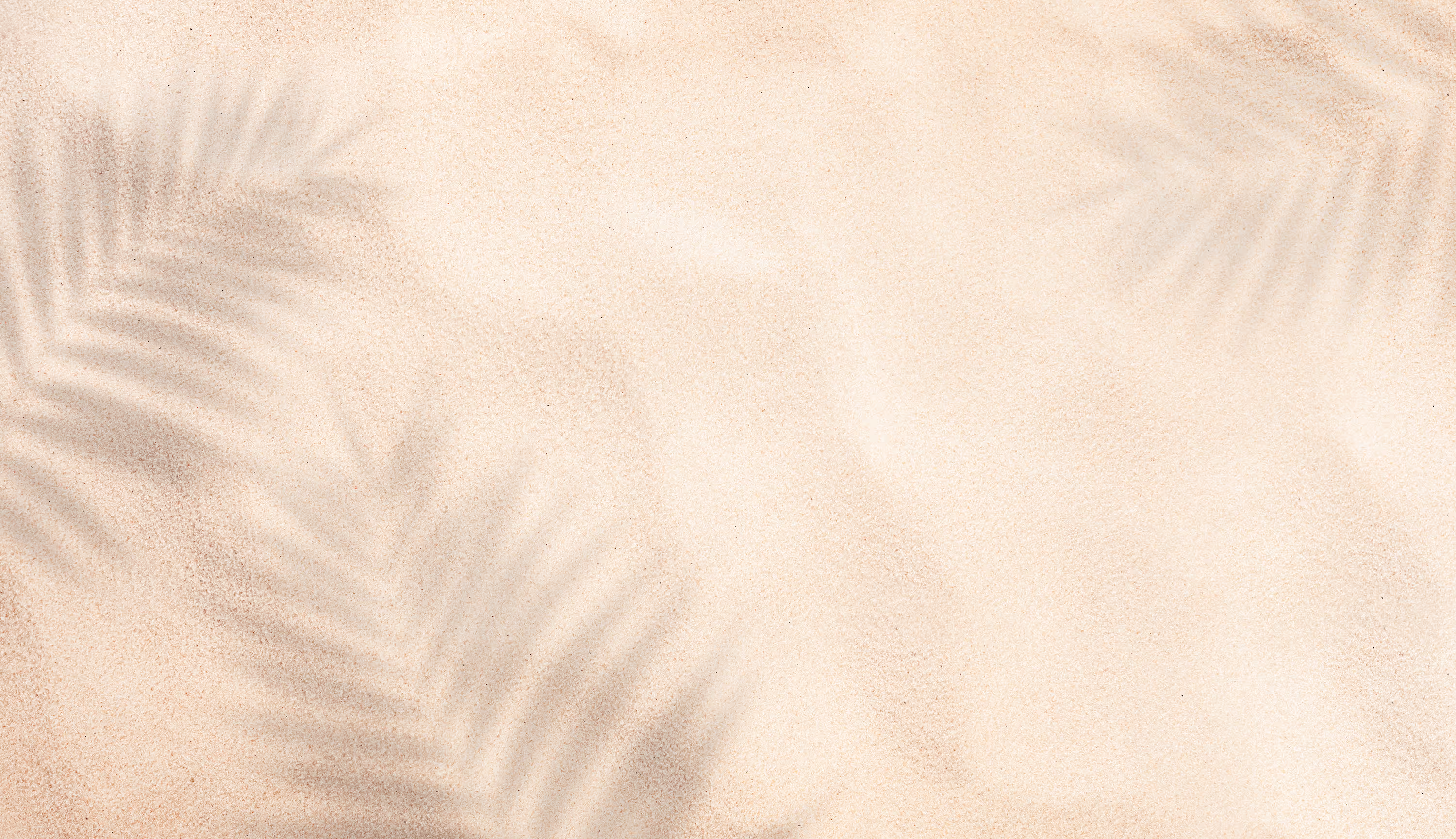 Soft shadows of palm leaves cast on a smooth sandy surface.