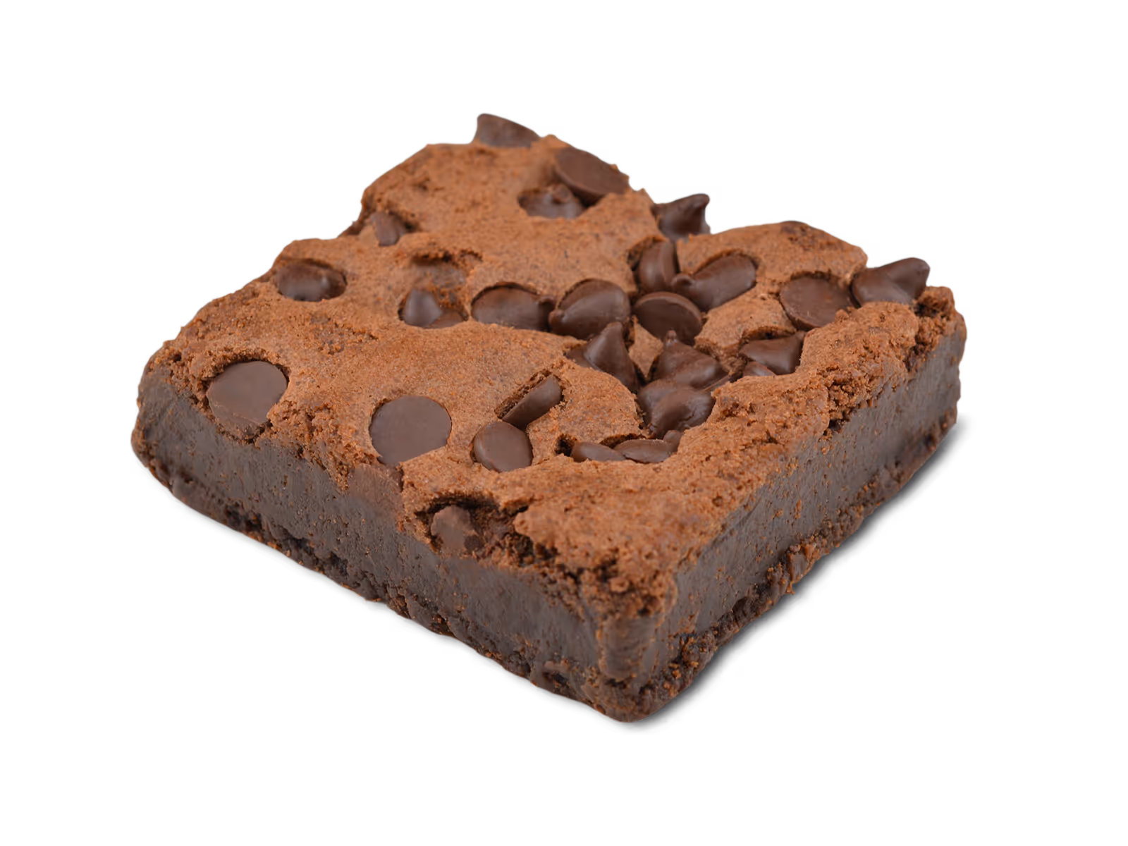 Square chocolate brownie topped with semi-sweet chocolate chips.