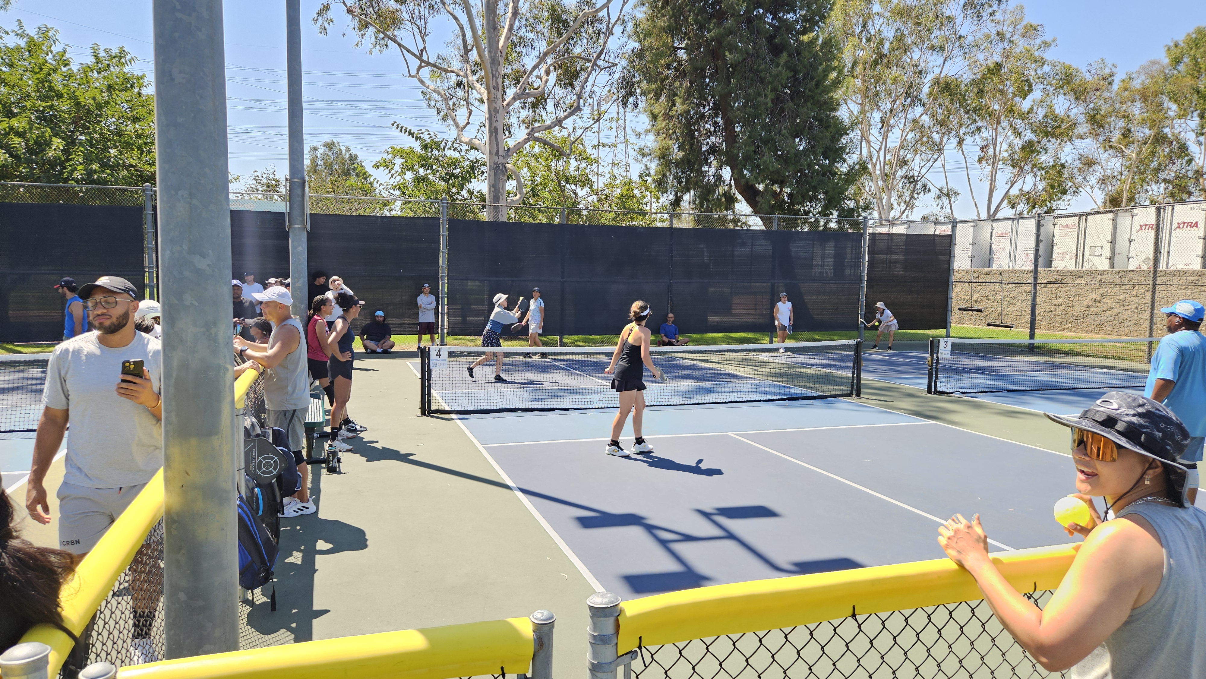 People playing and watching pickleball on outdoor courts with sunny weather and trees in the background.
