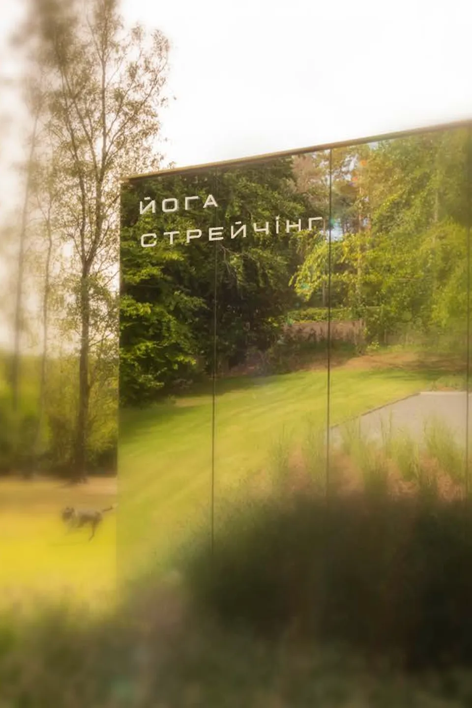 Тут є все для активного проведення часу: