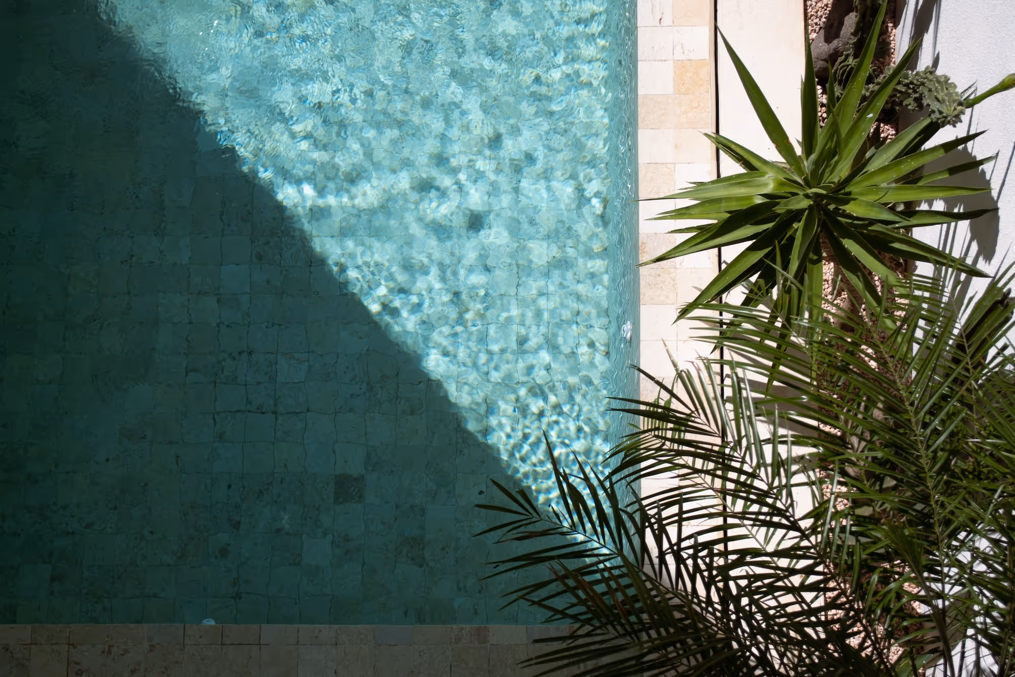 Top-down view of a swimming pool partially shaded, next to green tropical plants and beige tiles.