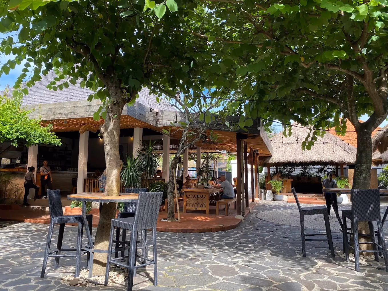 The Cashew Tree Collective