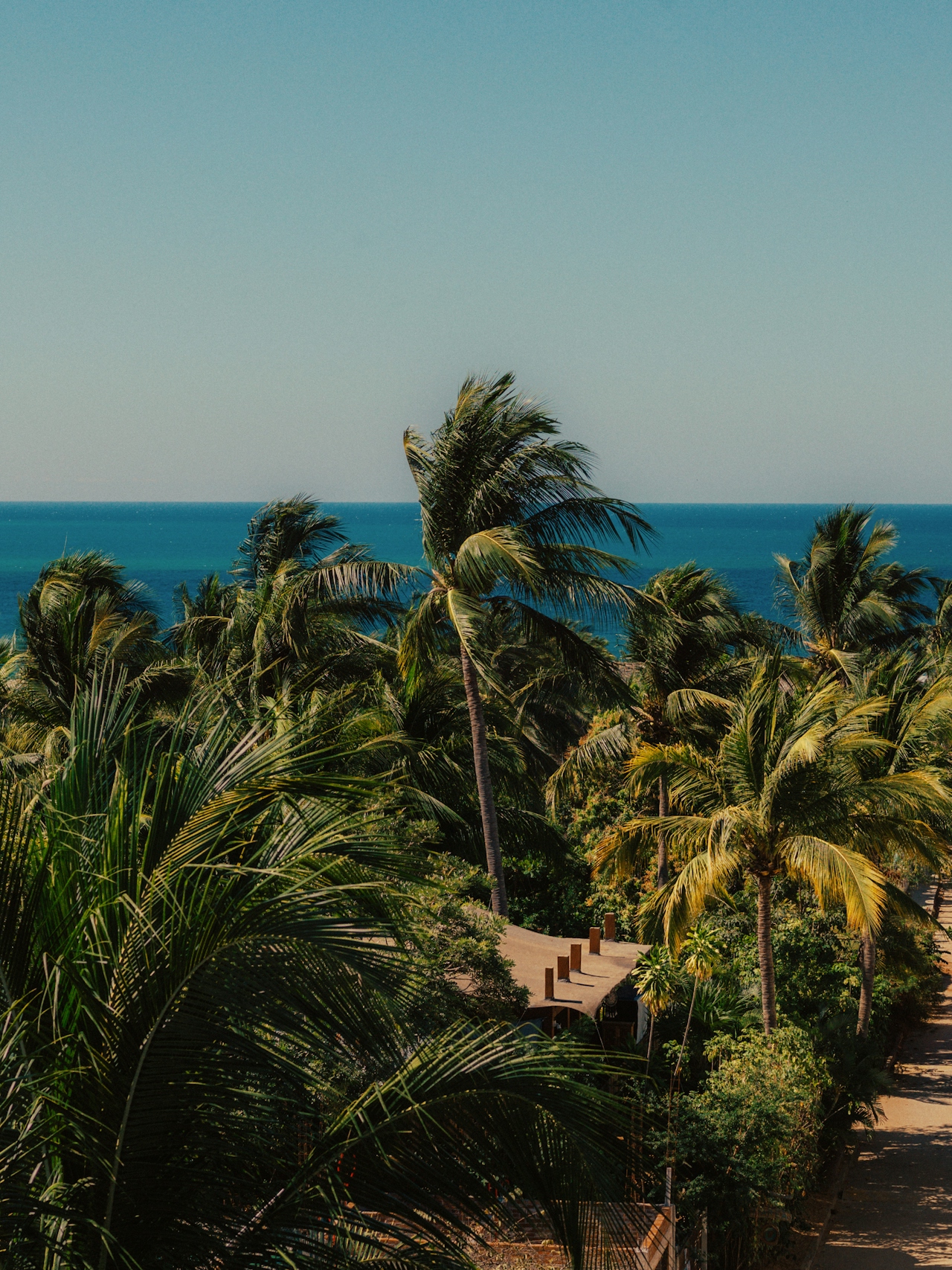 Bali Tourist Tax 2026: What It Is, How Much, and How to Pay