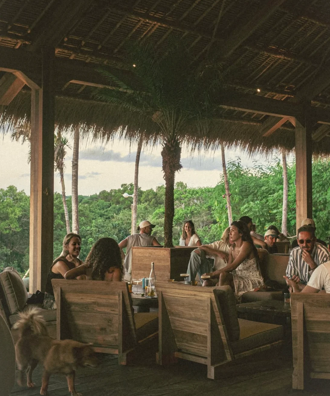 Saltwood above Bingin and Dreamland, a sunset restaurant and beach club in Uluwatu