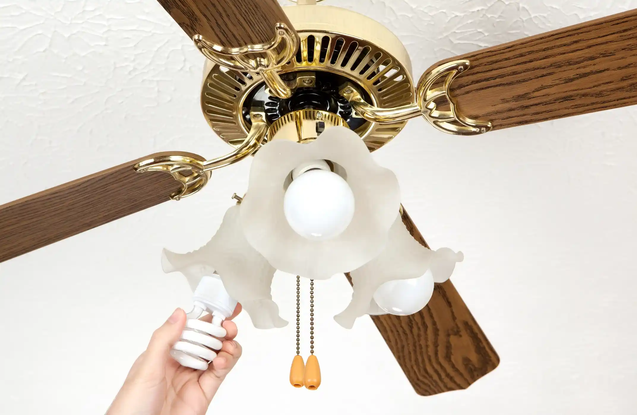 Lighting Installations in Flagler Beach, FL 1 6983512e53f8b8c22ece0bf0 697ae3938d741e307ec9328b light%2520%2526%2520fan