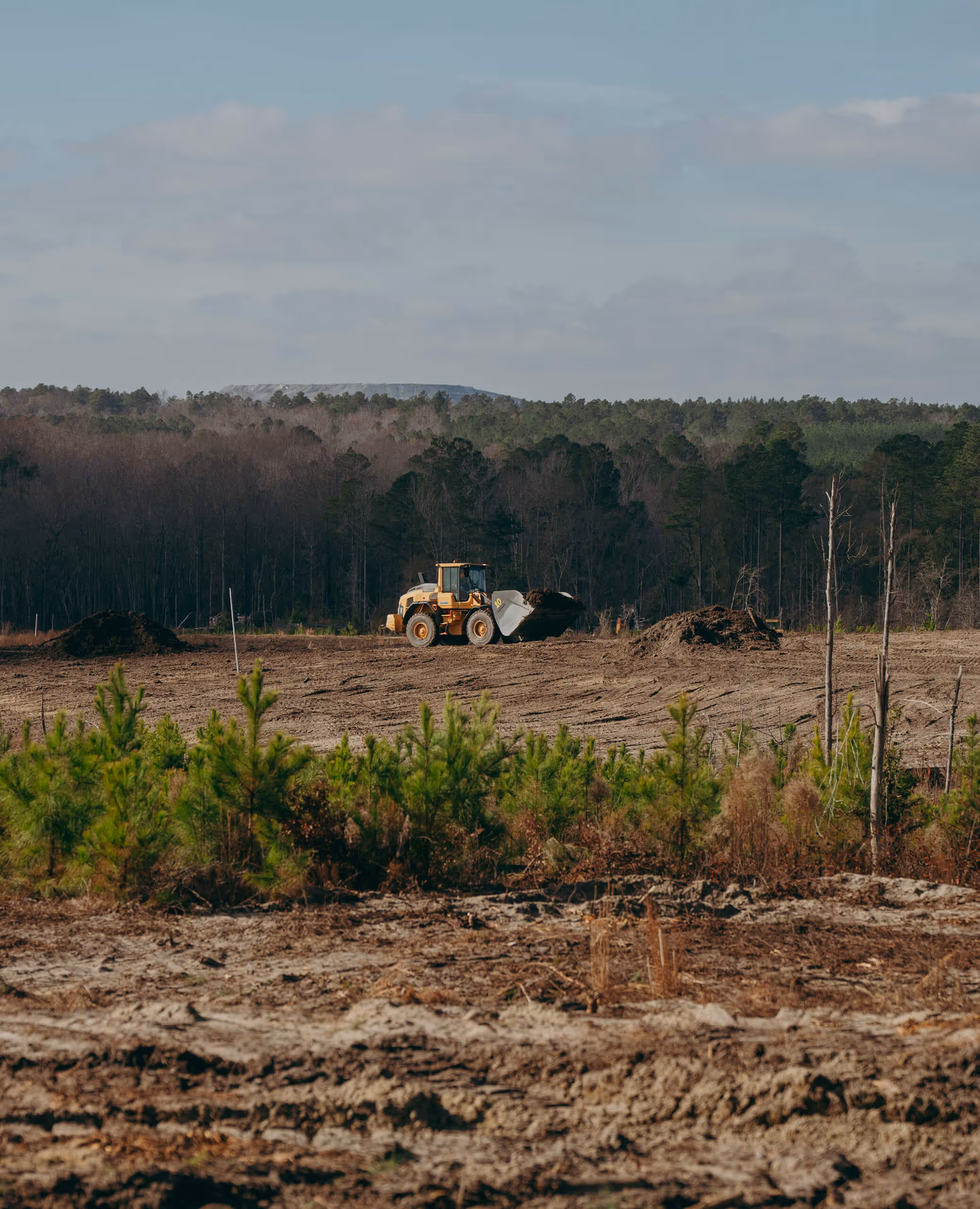 Yellow bulldozer moving soil on a large cleared dirt field with green trees in the foreground and a dense forest in the background under a partly cloudy sky.