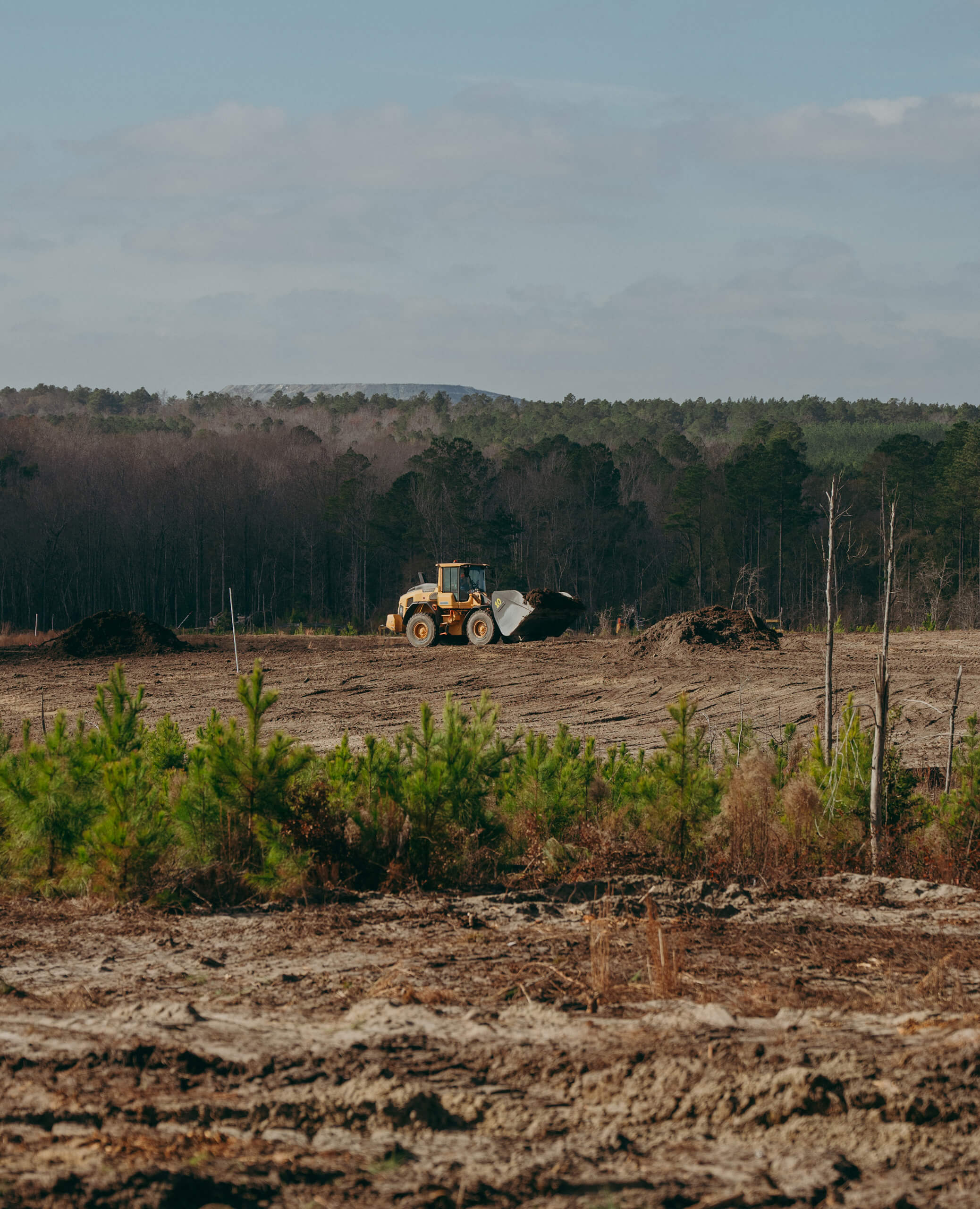 Yellow bulldozer moving soil on a large cleared dirt field with green trees in the foreground and a dense forest in the background under a partly cloudy sky.