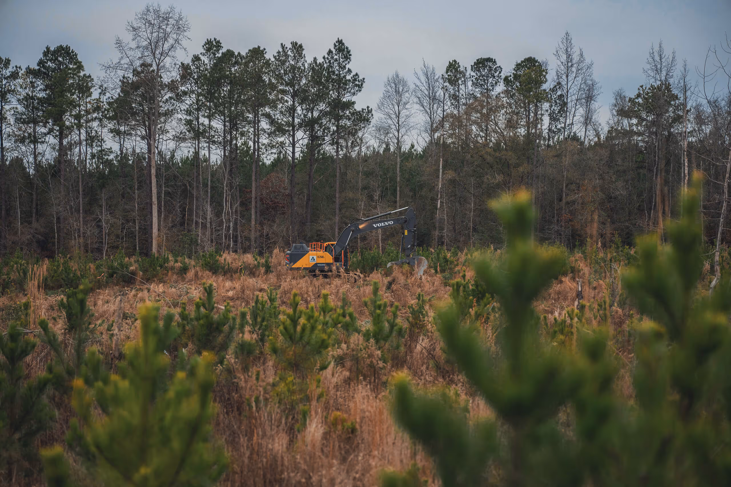 Yellow and black Volvo excavator working in a clearing surrounded by tall pine trees and green shrubs under a cloudy sky.