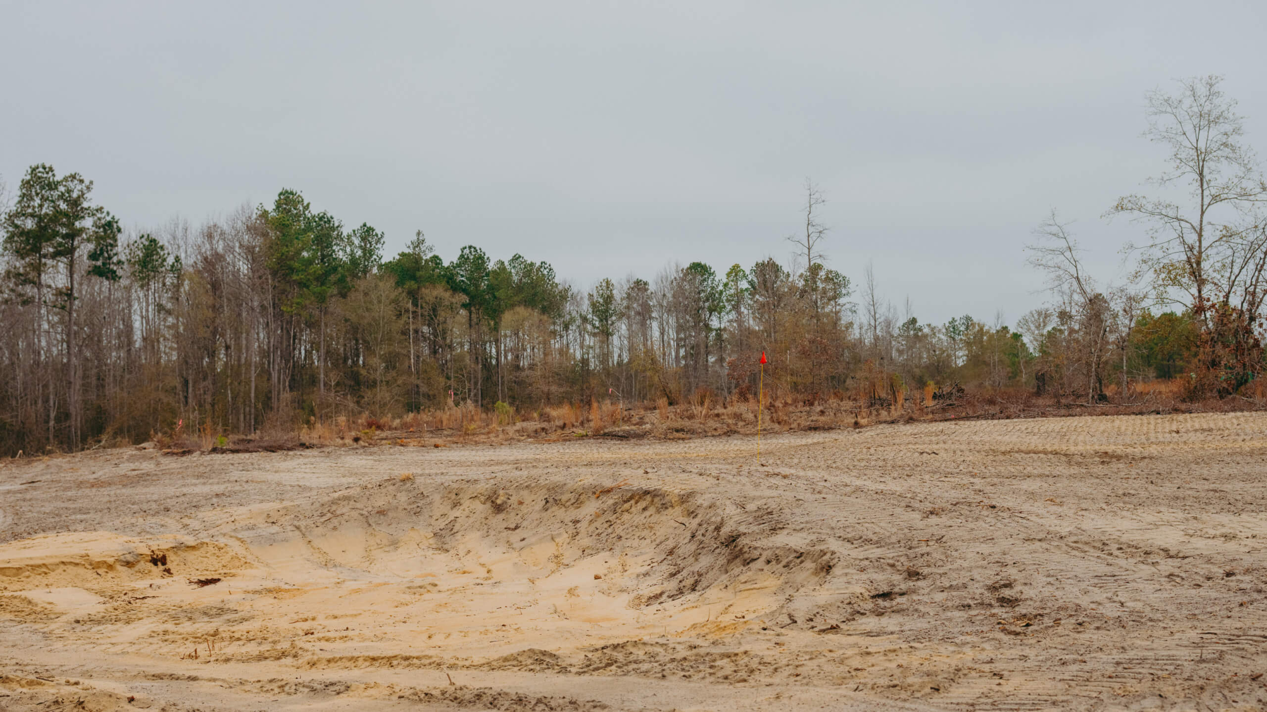 Cleared dirt land with a shallow pit and a red flag marker near a forest edge under an overcast sky.