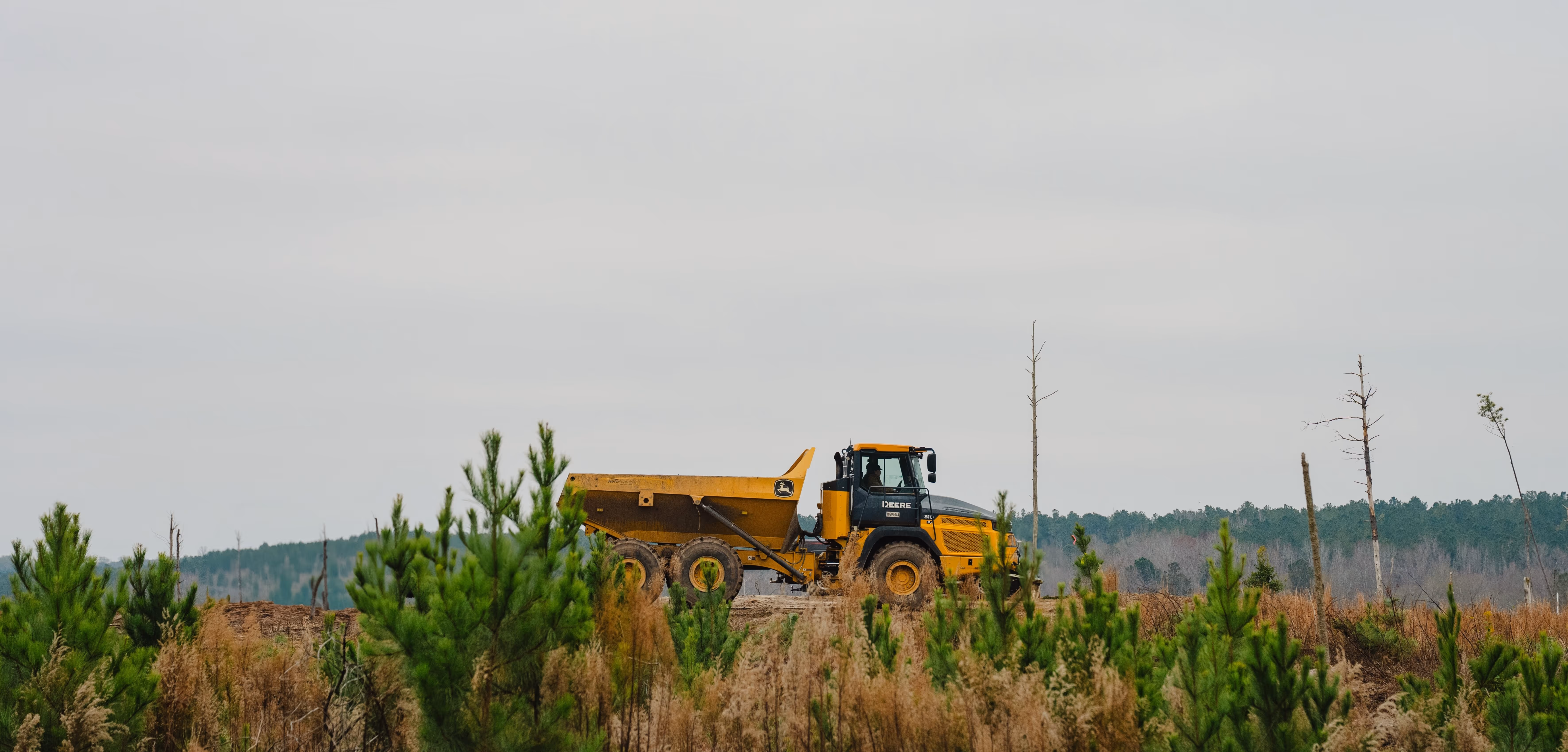 View from inside heavy machinery showing its arm and bucket lifting a young pine tree in a field with small pine trees and forest in the background.