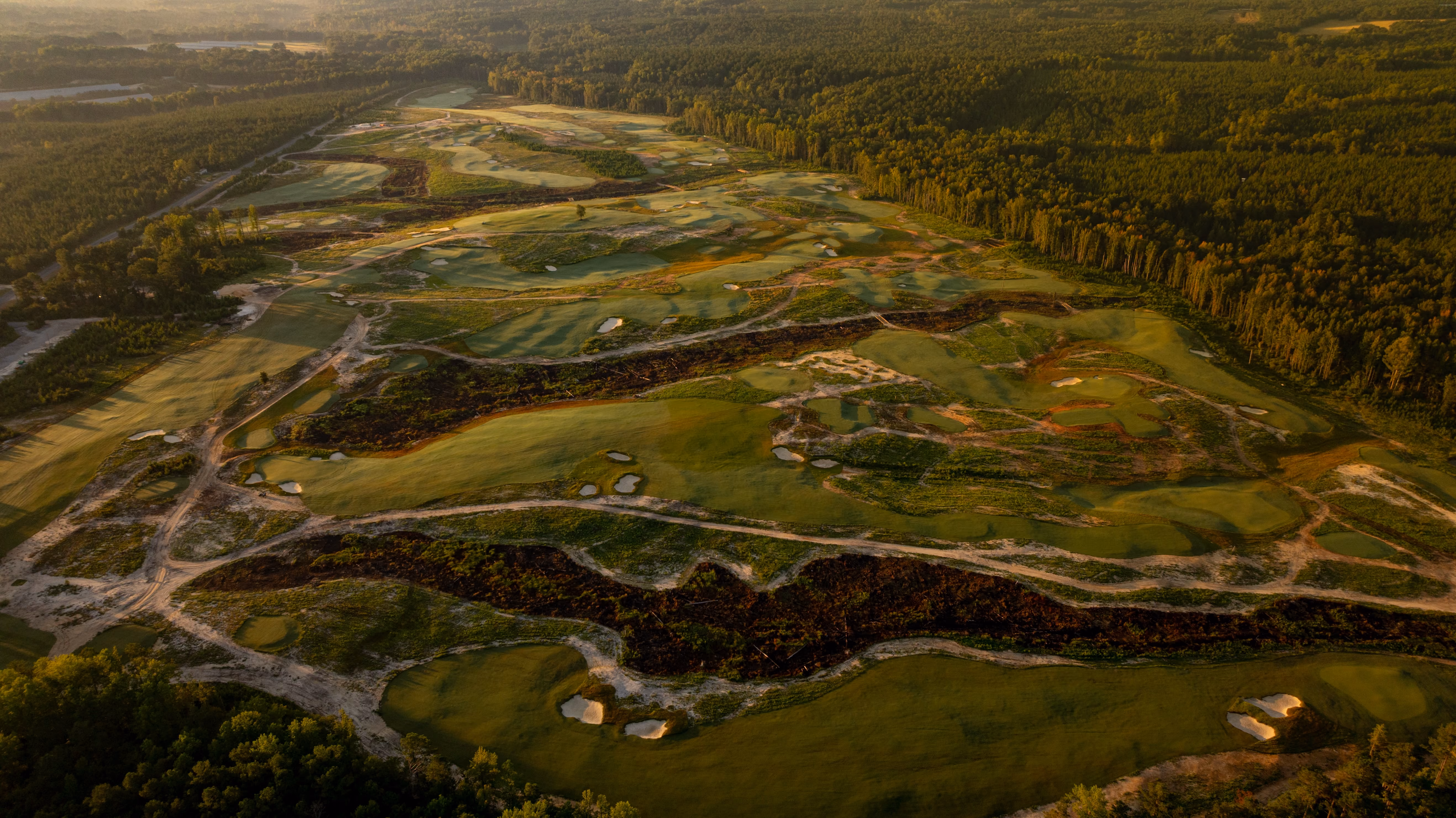 Aerial view of a dirt path winding through a dense pine forest with patches of leafless trees and underbrush.