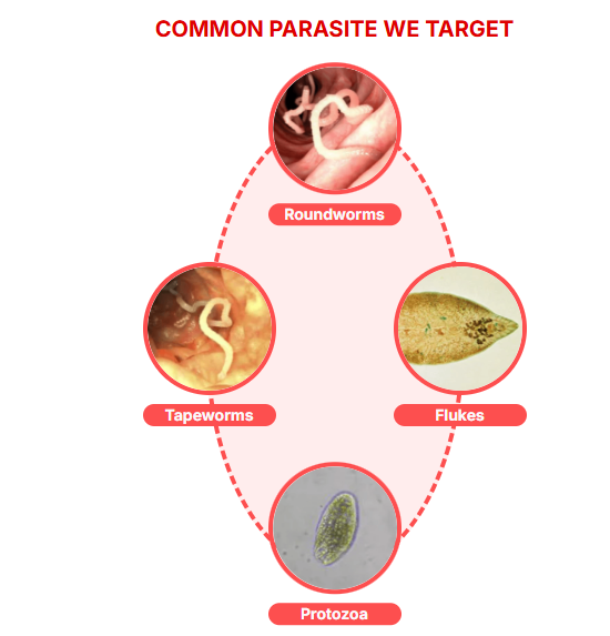 Screenshot 2025-12-16 093639.png