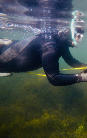 Person snorkeling underwater wearing a black wetsuit and snorkel mask, swimming near green aquatic vegetation.