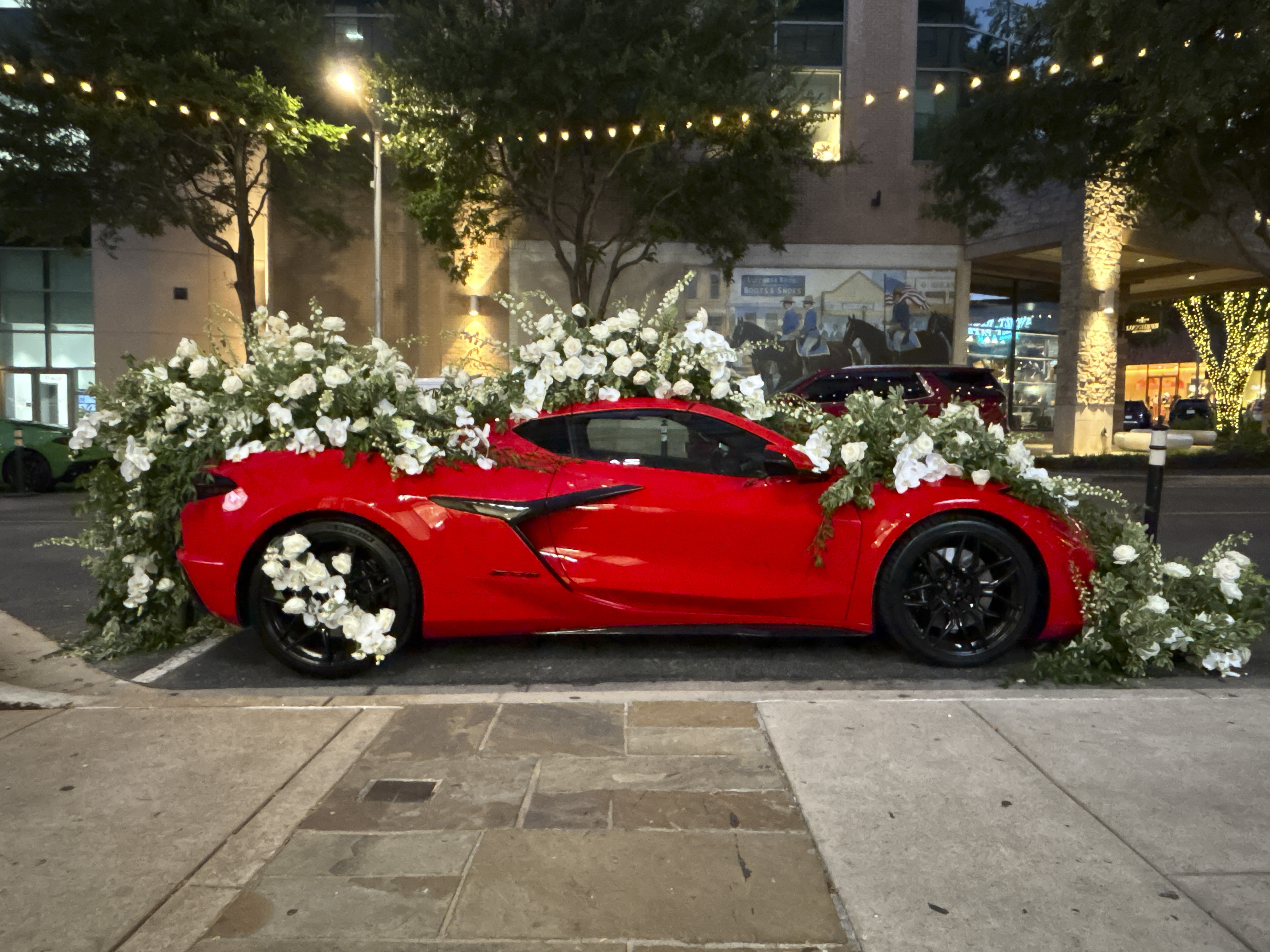 Modern Luxury: Dynamic Women 2025