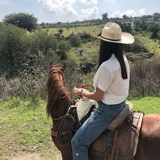 Person wearing a beige hat, white shirt, and jeans riding a brown horse on a grassy trail with bushes and hills in the background.