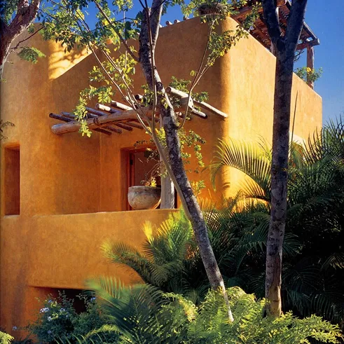 Sunlit adobe-style building with wooden pergola and lush green tropical plants in front.