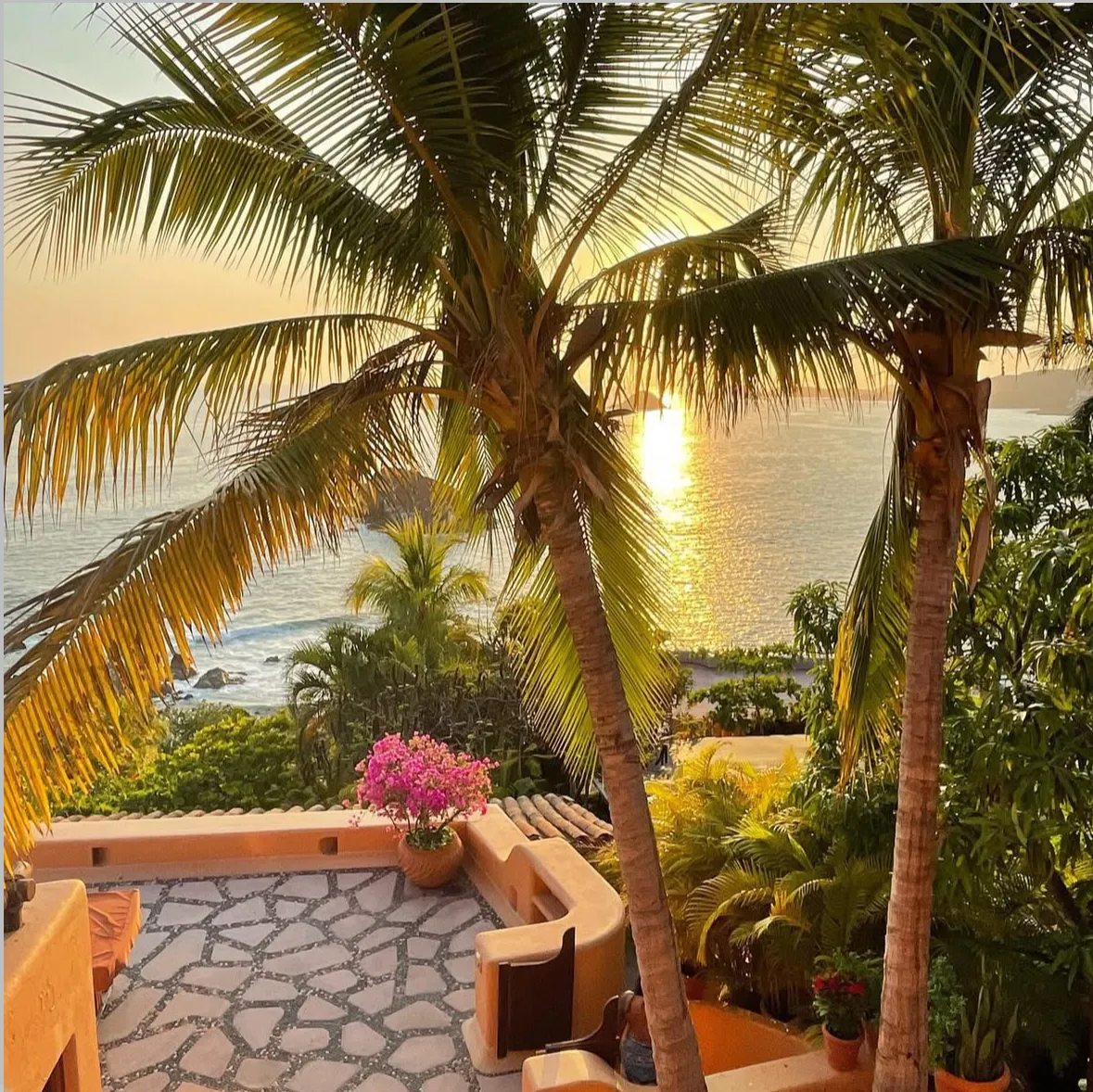 Sunset view over the ocean framed by two tall palm trees and a stone-paved terrace with potted plants.