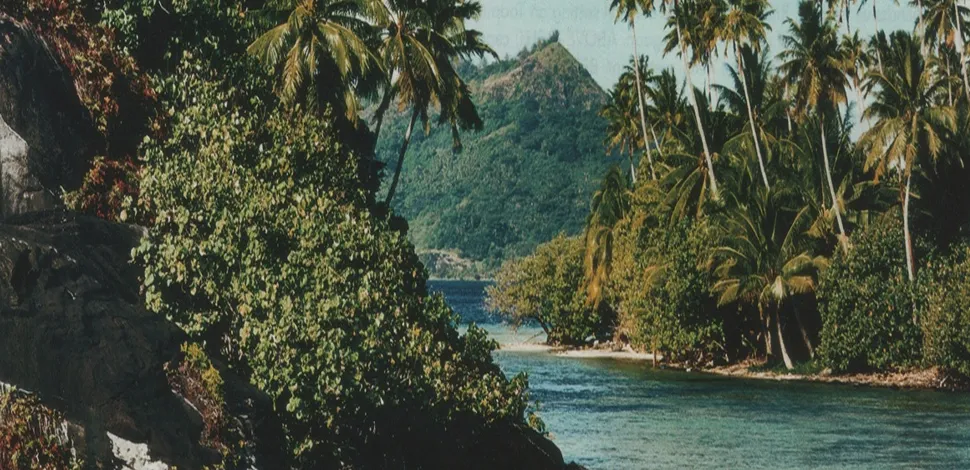 Tropical river flowing between dense green foliage and palm trees with a forested hill in the background.