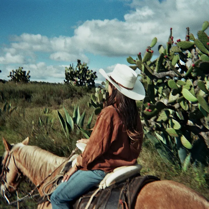 Person wearing a white cowboy hat and brown jacket riding a horse in a desert landscape with cacti and a partly cloudy sky.