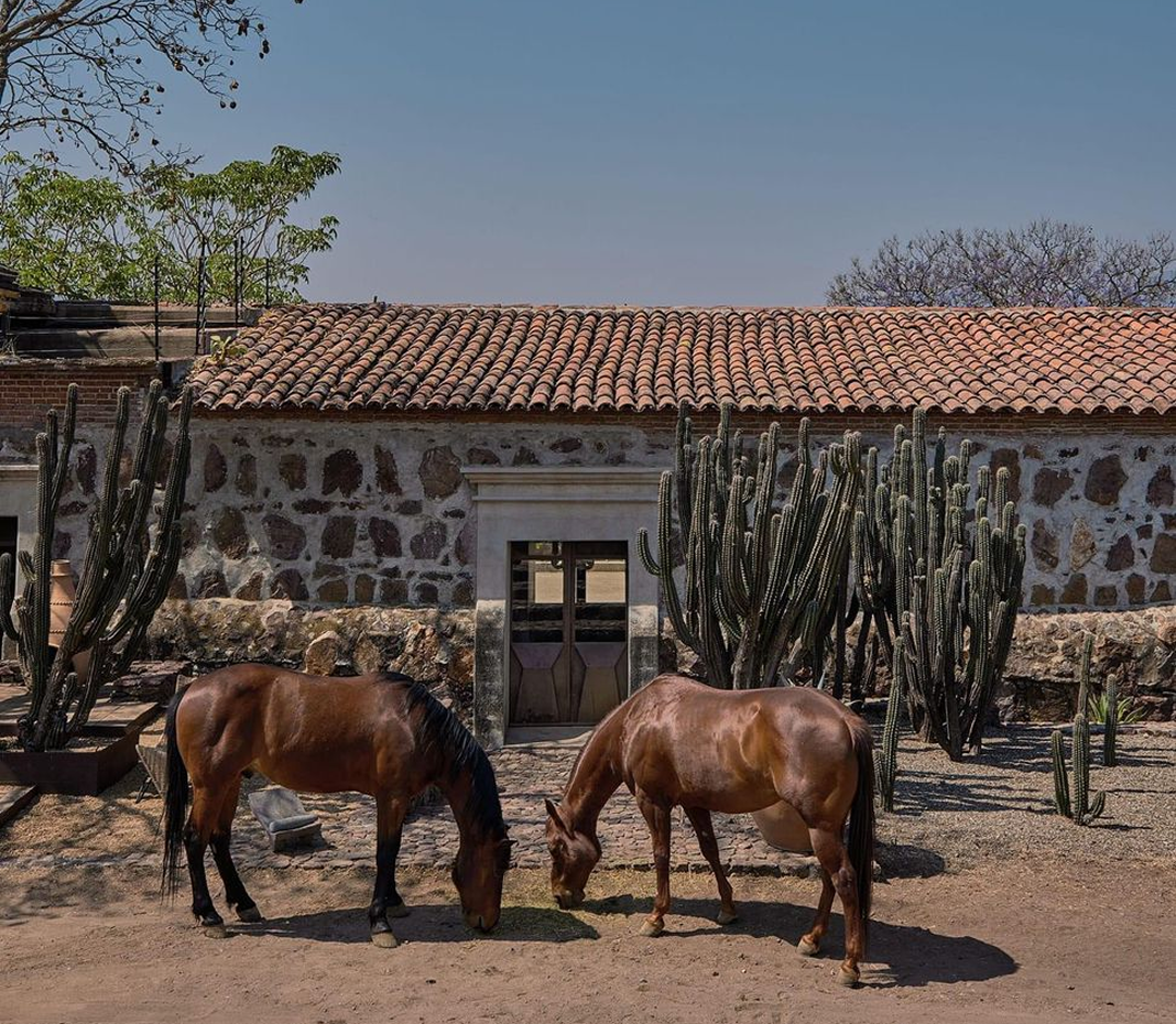 Ranch Life, Open Spaces