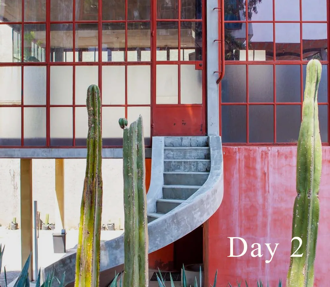 Modern building entrance with curved concrete staircase and tall green cacti in front, red window frames, and 'Day 2' text.
