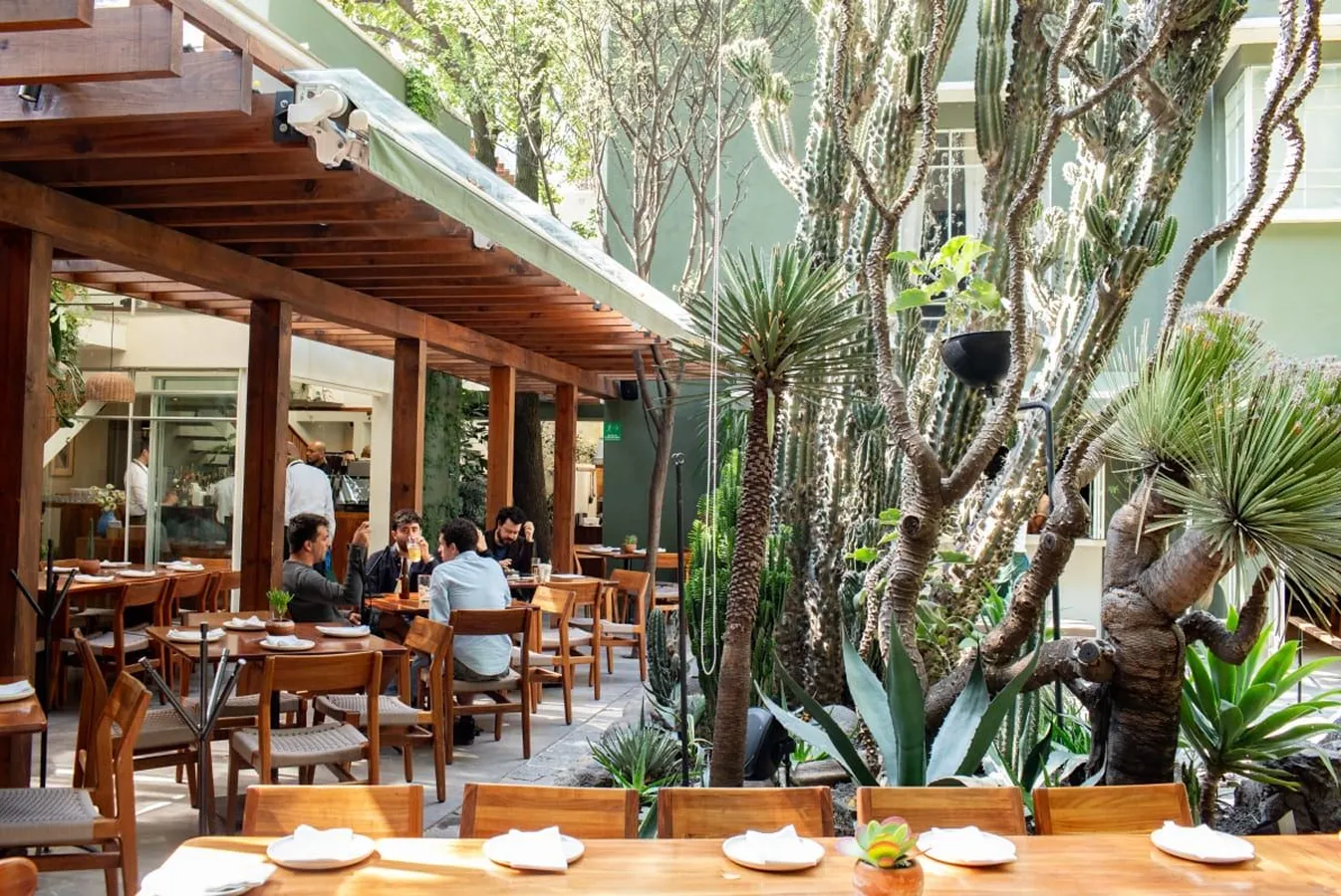 Outdoor restaurant seating area with wooden tables and chairs surrounded by various desert plants and cacti under a partial wooden pergola.