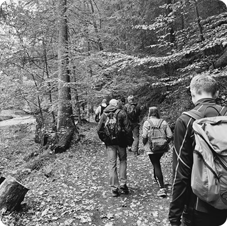 Gruppe von Menschen wandert auf einem schmalen Waldweg, umgeben von hohen Bäumen und Laub am Boden.