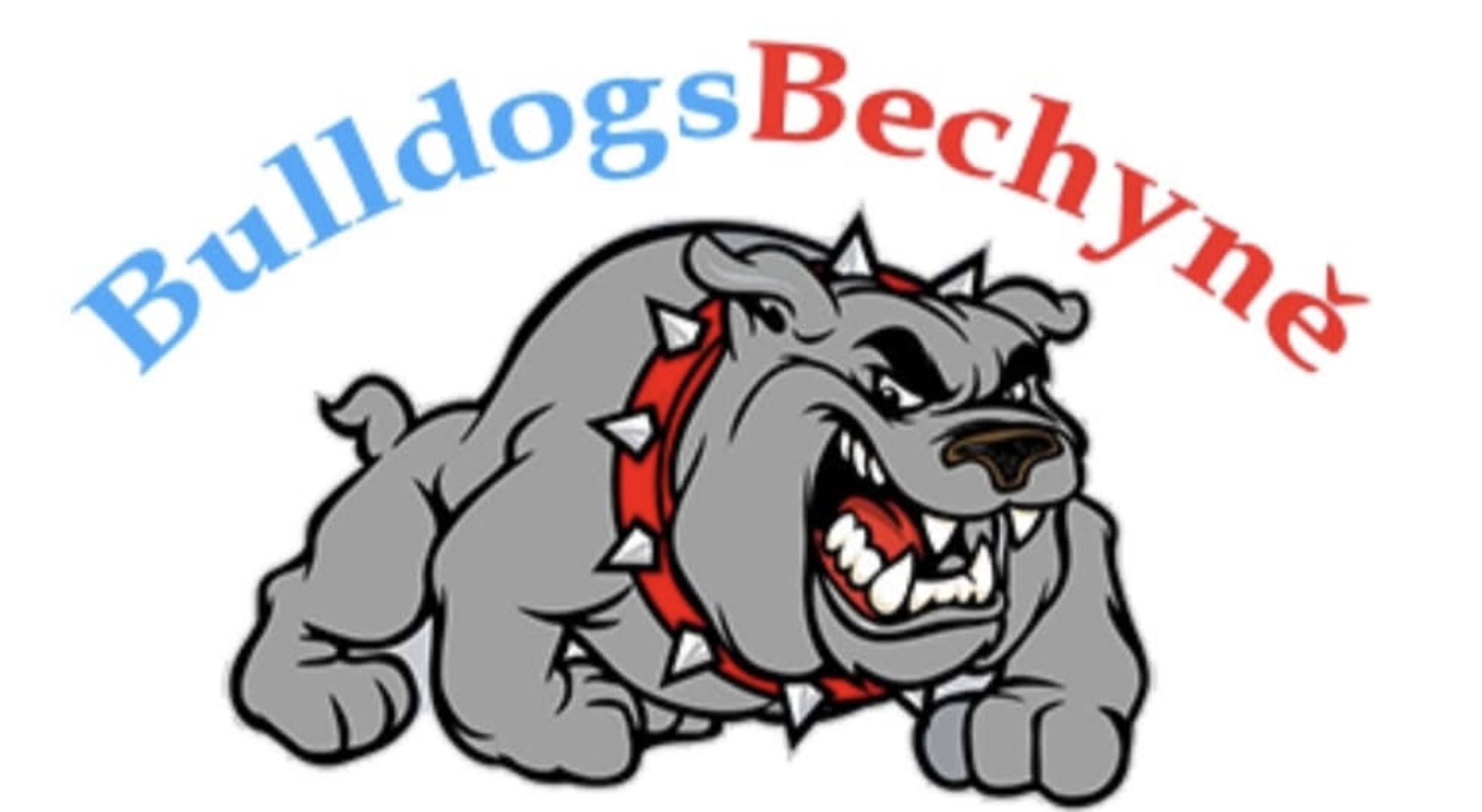 Logo — Volejbalový tým Řezníček & Co.