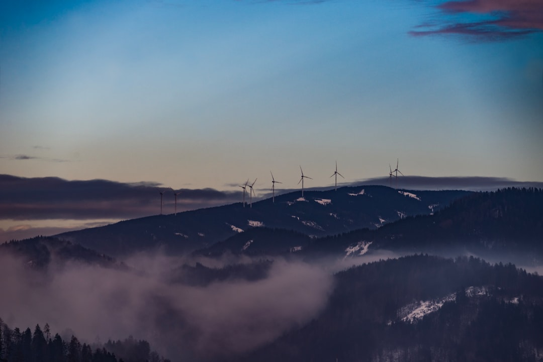 Větrné elektrárny vs. tetřívek: Proč stavební povolení nestačí