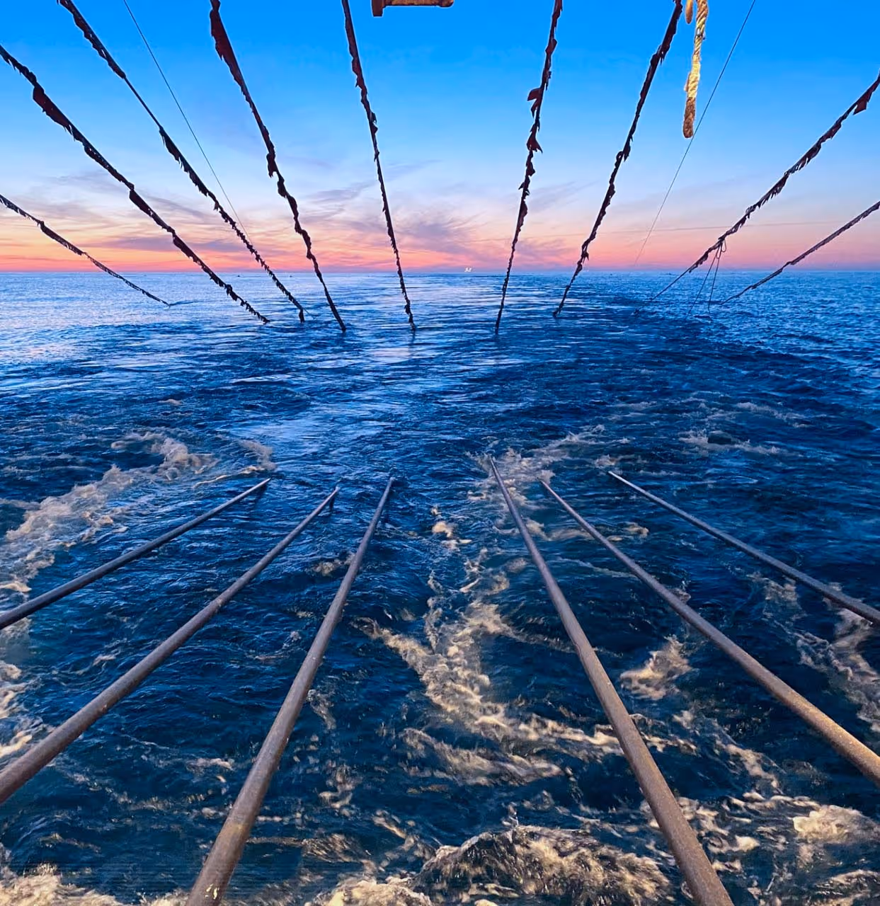 Streamer Control Systems for Shearwater