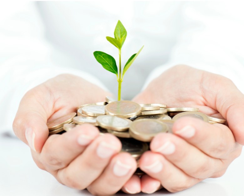 Hands holding money with a plant growing from it