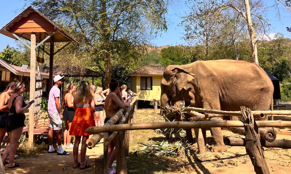 What To Expect on a Camp Thailand Group Tour