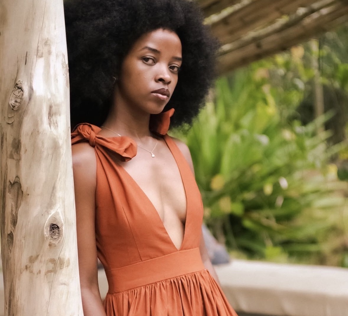  well-organized wardrobe (for a garment care service)