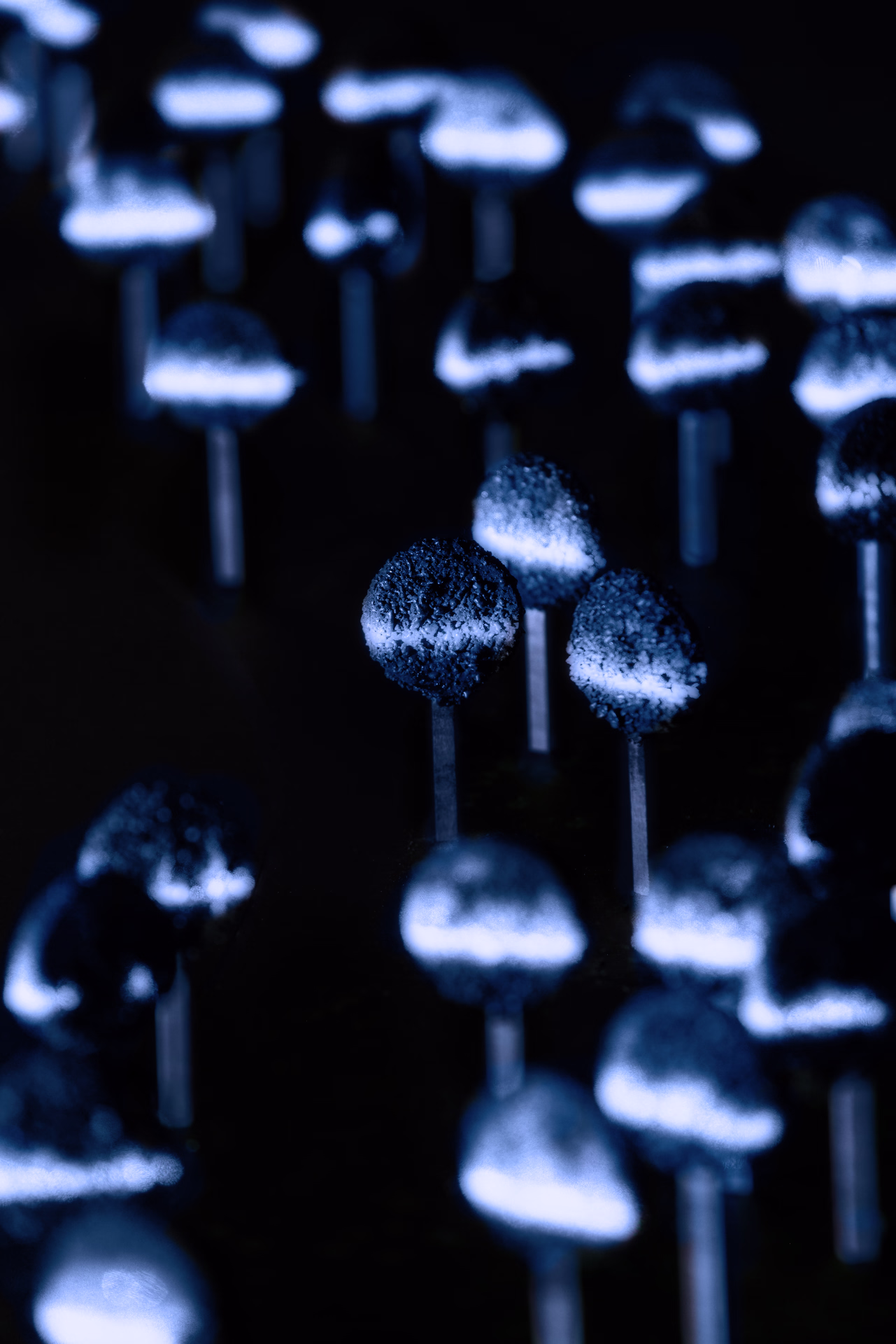 Macro di un’installazione luminosa in penombra, con elementi su stelo simili a piccoli funghi o lollipop, dalla superficie granulosa, attraversati da fasce di luce bianca su toni blu.