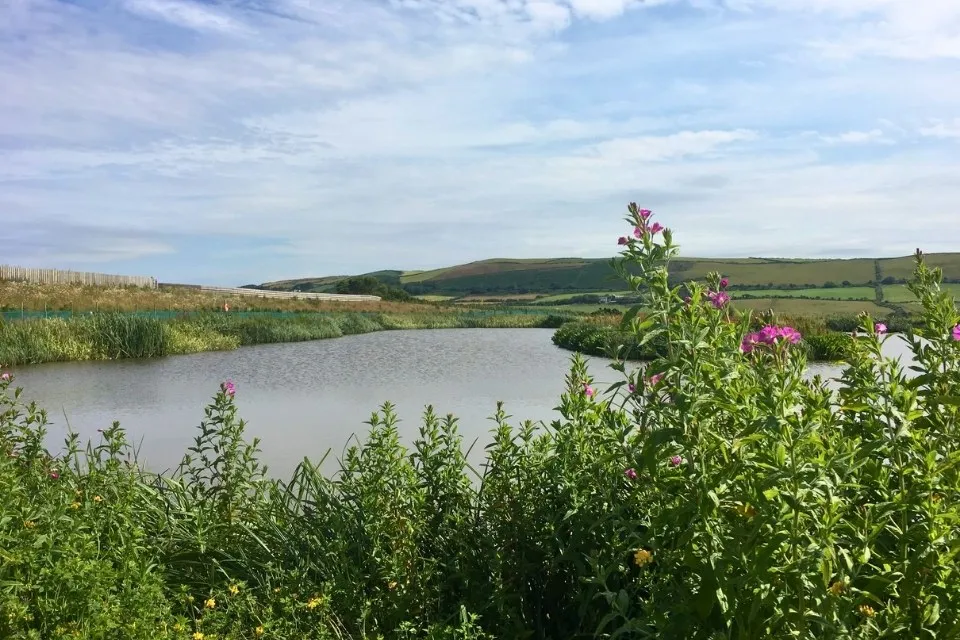 Calm river flowing through green fields with wildflowers in the foreground under a partly cloudy sky.