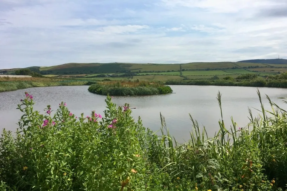 Quiet lake surrounded by lush green plants and wildflowers with rolling hills and cloudy sky in the background.