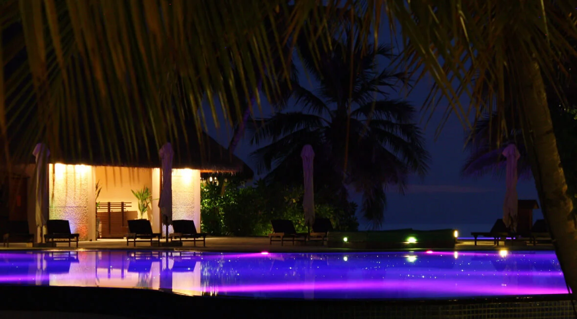 Night view of a glowing purple swimming pool with lounge chairs, closed umbrellas, and palm trees.