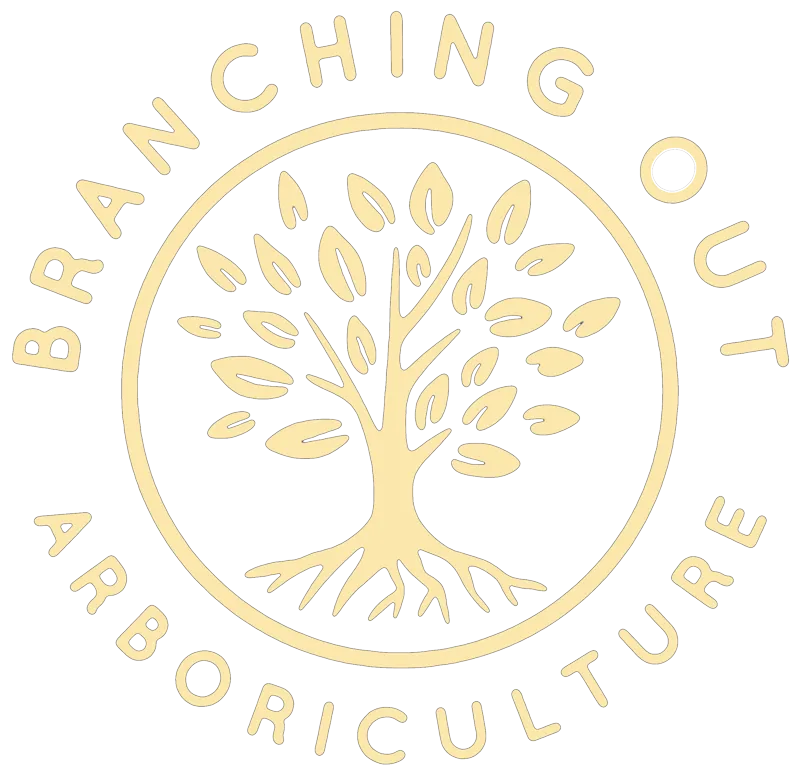 Branching Out Arboriculture Logo