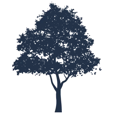 Silhouette Icon of a tree