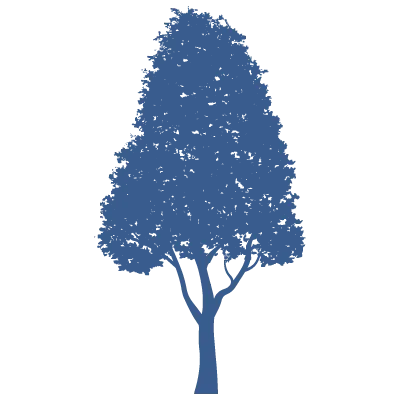 Silhouette Icon of a tree