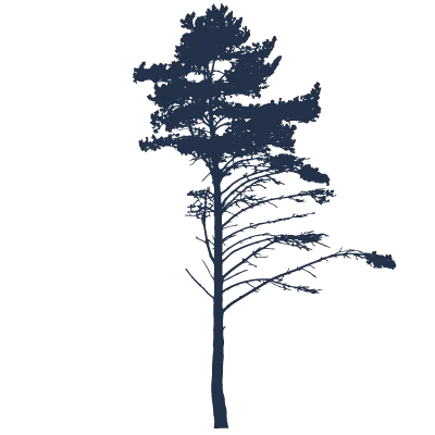 Silhouette Icon of a tree
