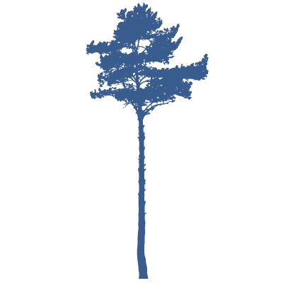 Silhouette Icon of a tree