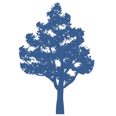 Silhouette Icon of a tree