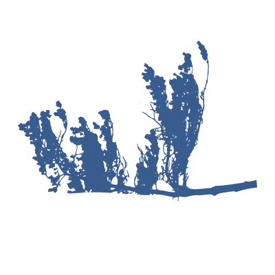 Silhouette Icon of a tree