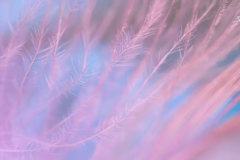 A soft, dreamy close-up of delicate pink and blue wisps, resembling feathery strands floating in the air.