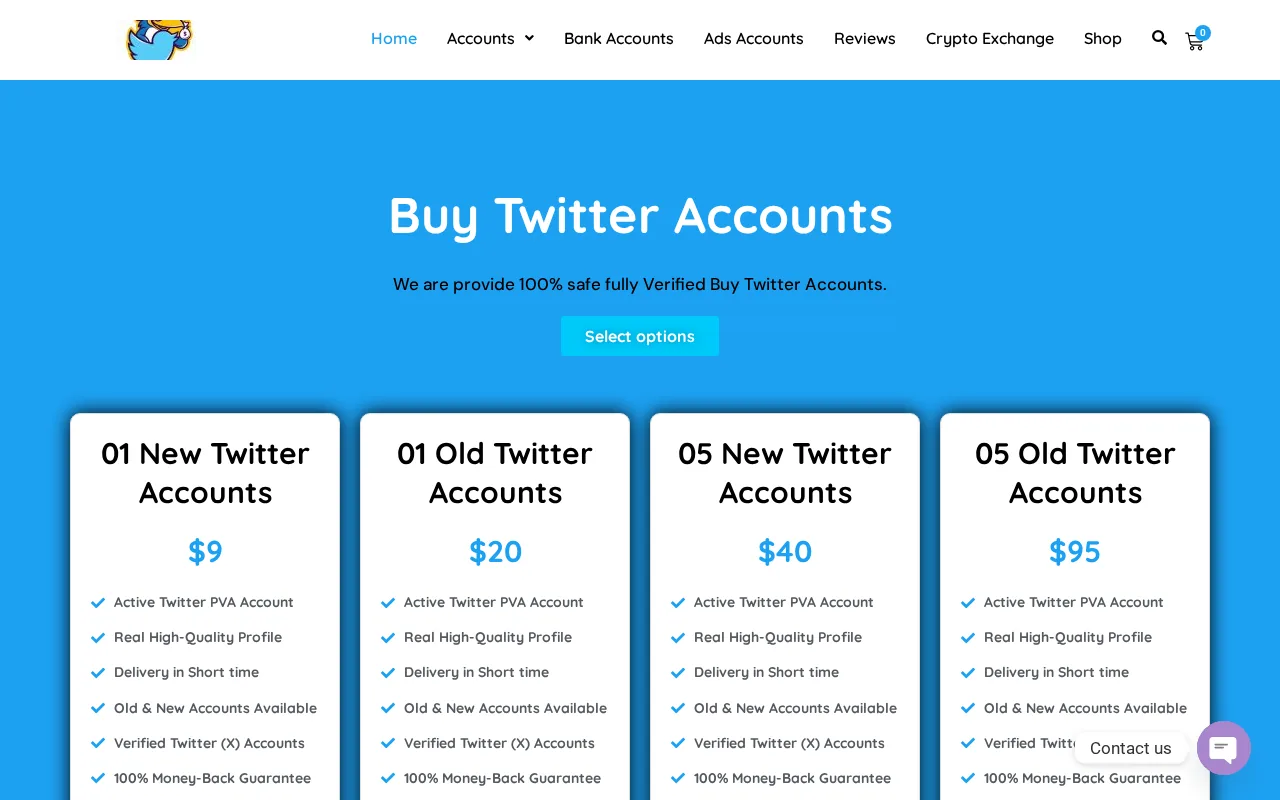 Screenshot of buytwitteraccounts[.]com