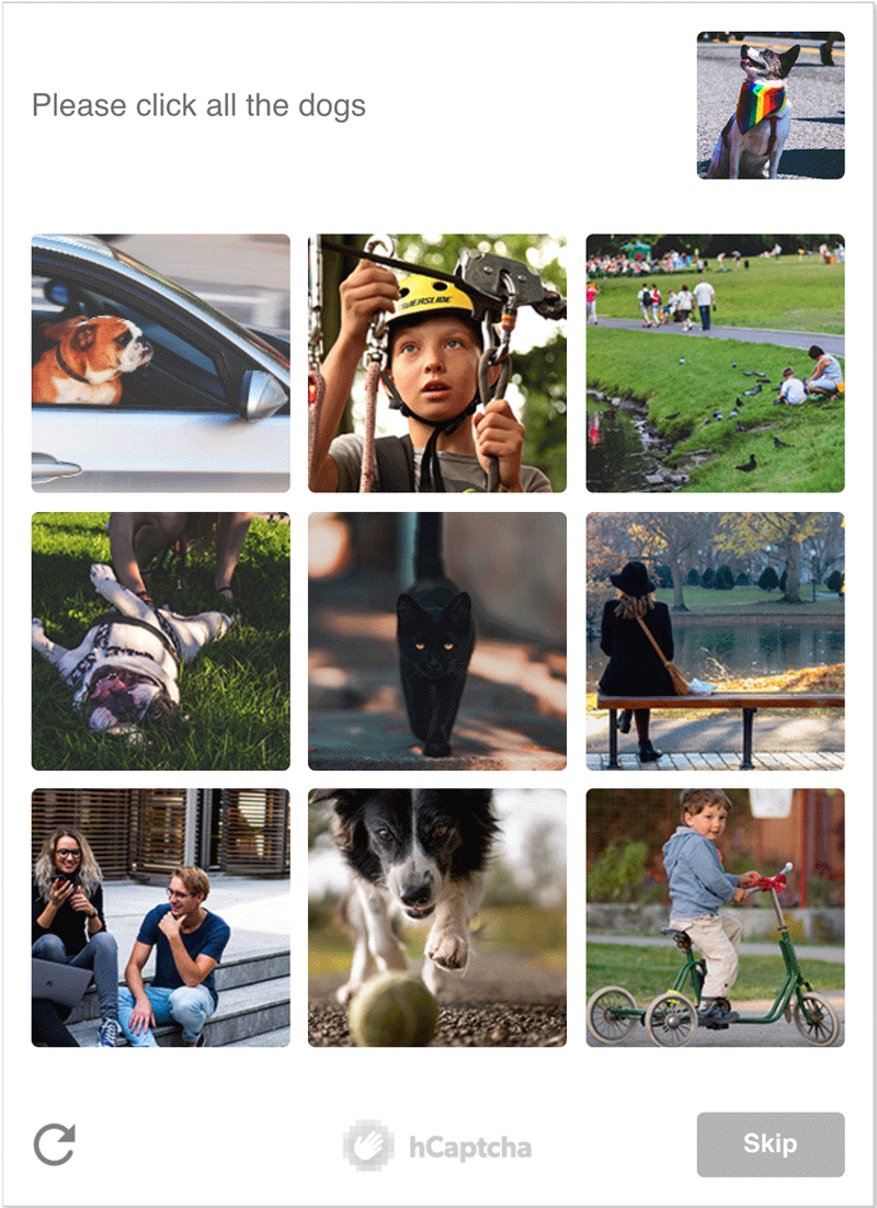 hCaptcha Question Images