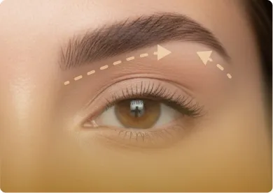Woman eyebrow