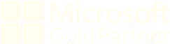 Microsoft Gold Partner text logo with a partial grid pattern background.
